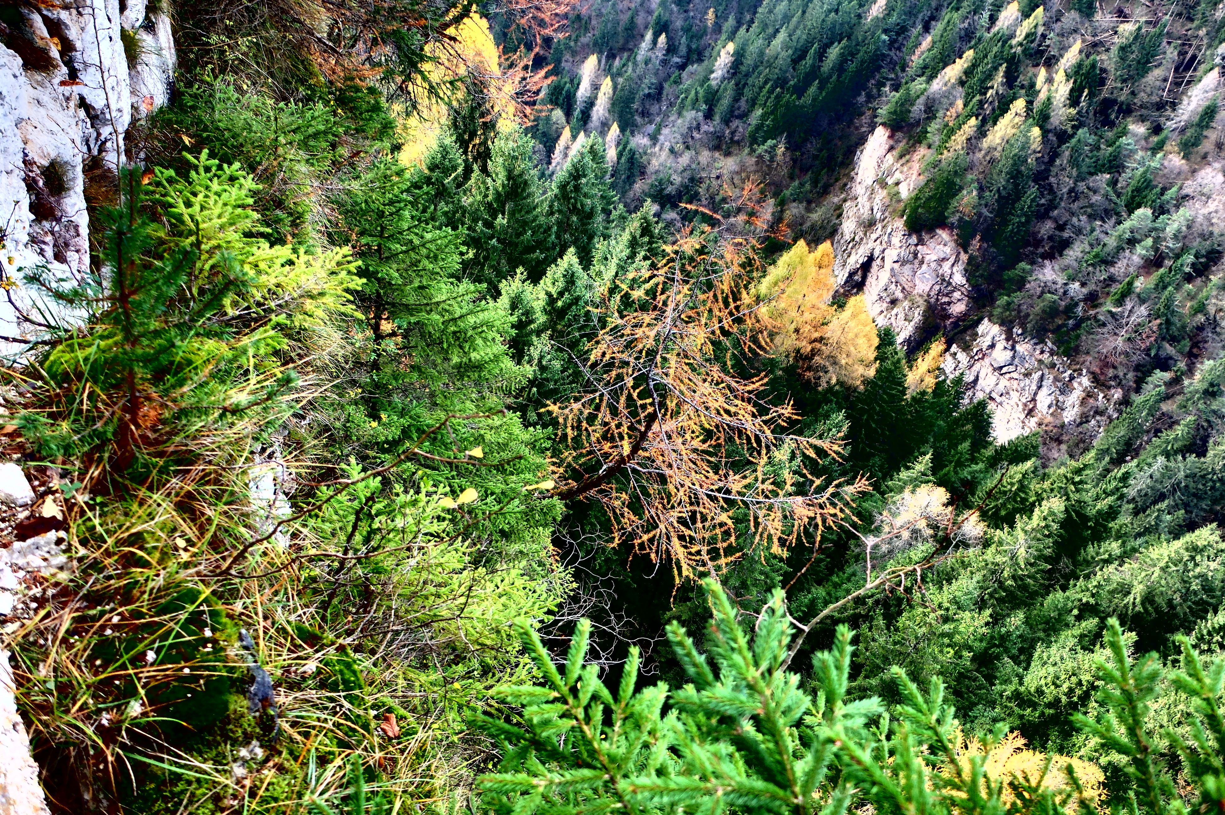 DSCF1392.JPG