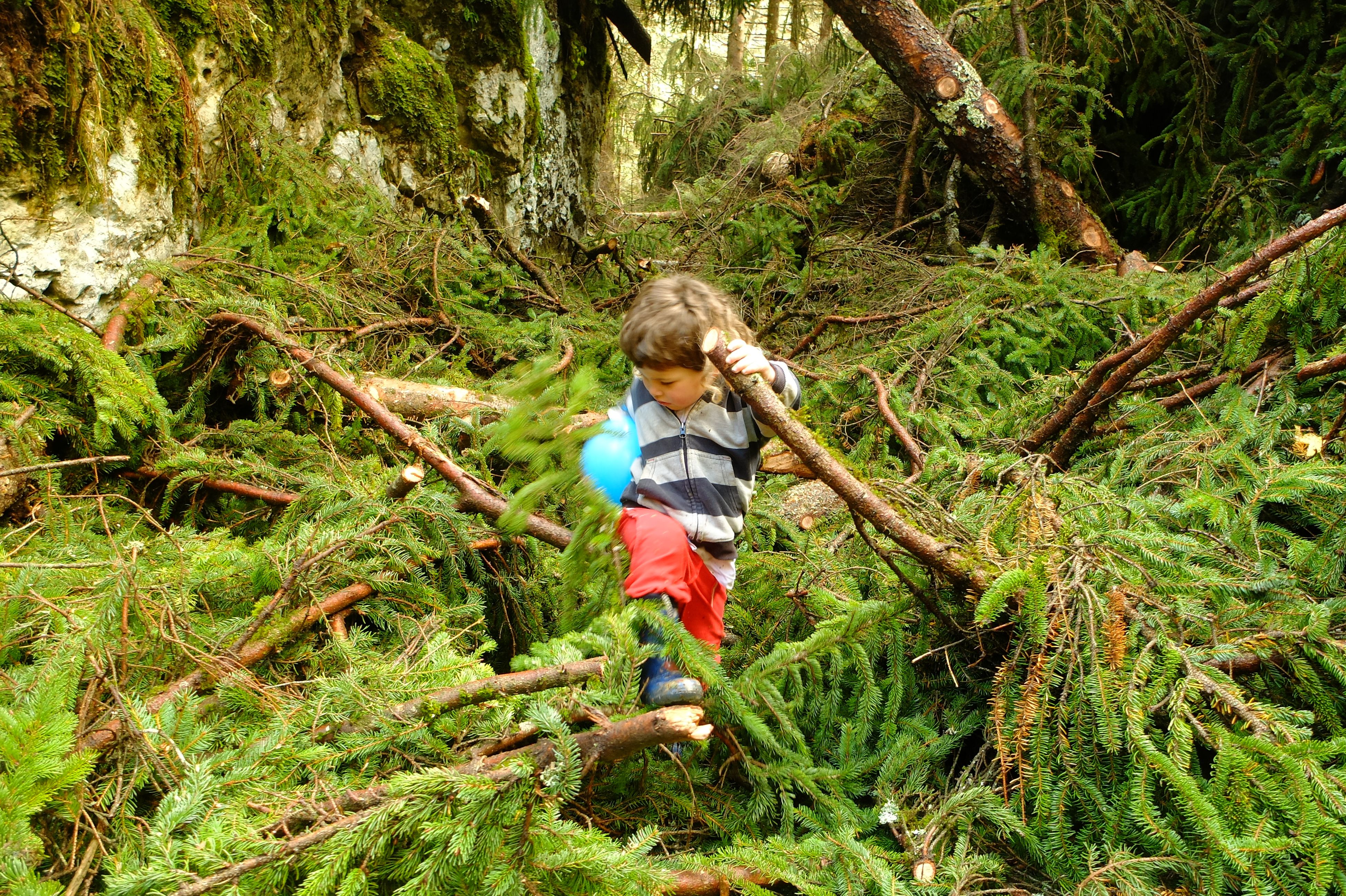 DSCF1373.JPG
