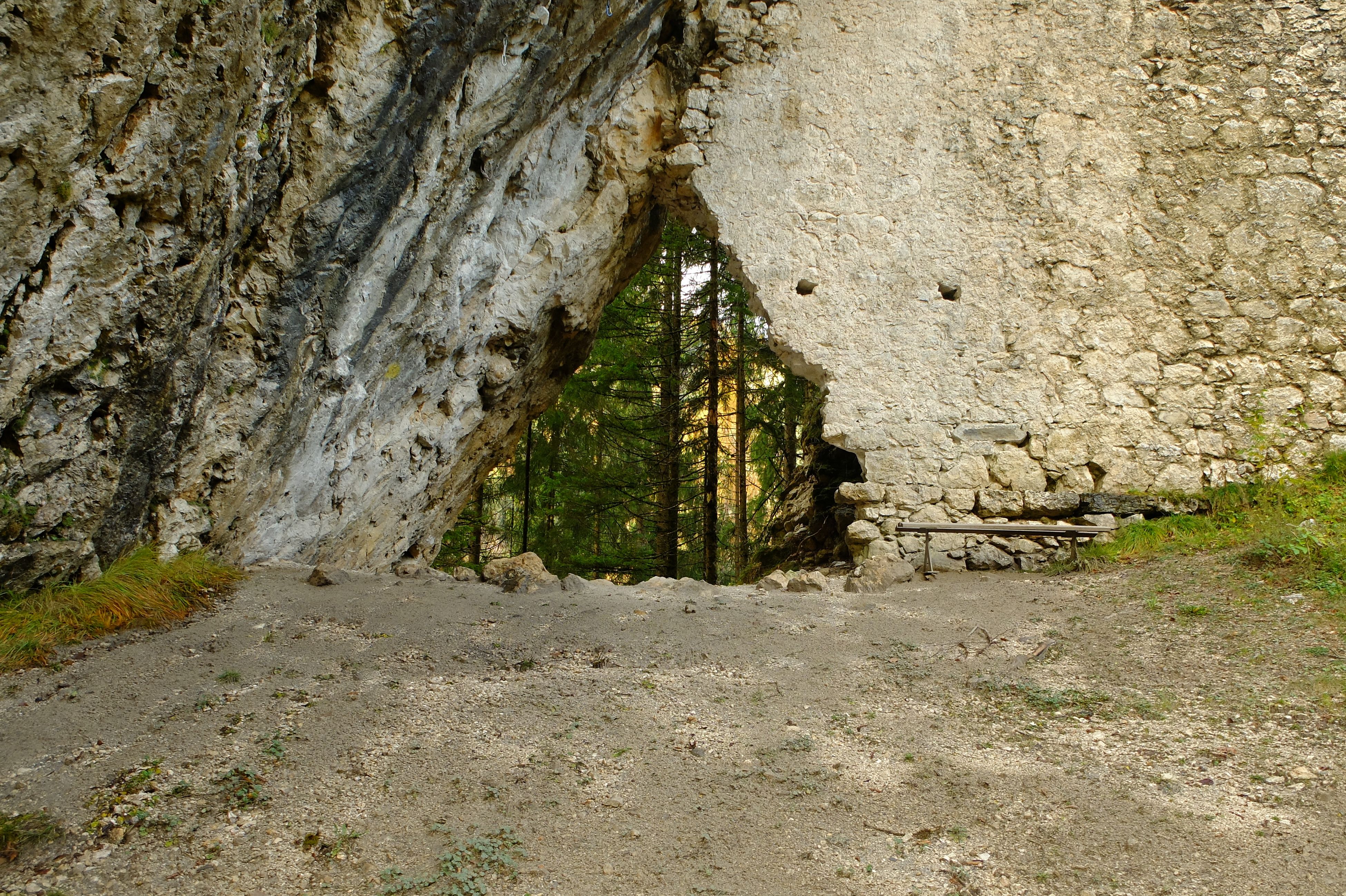 DSCF1381.JPG