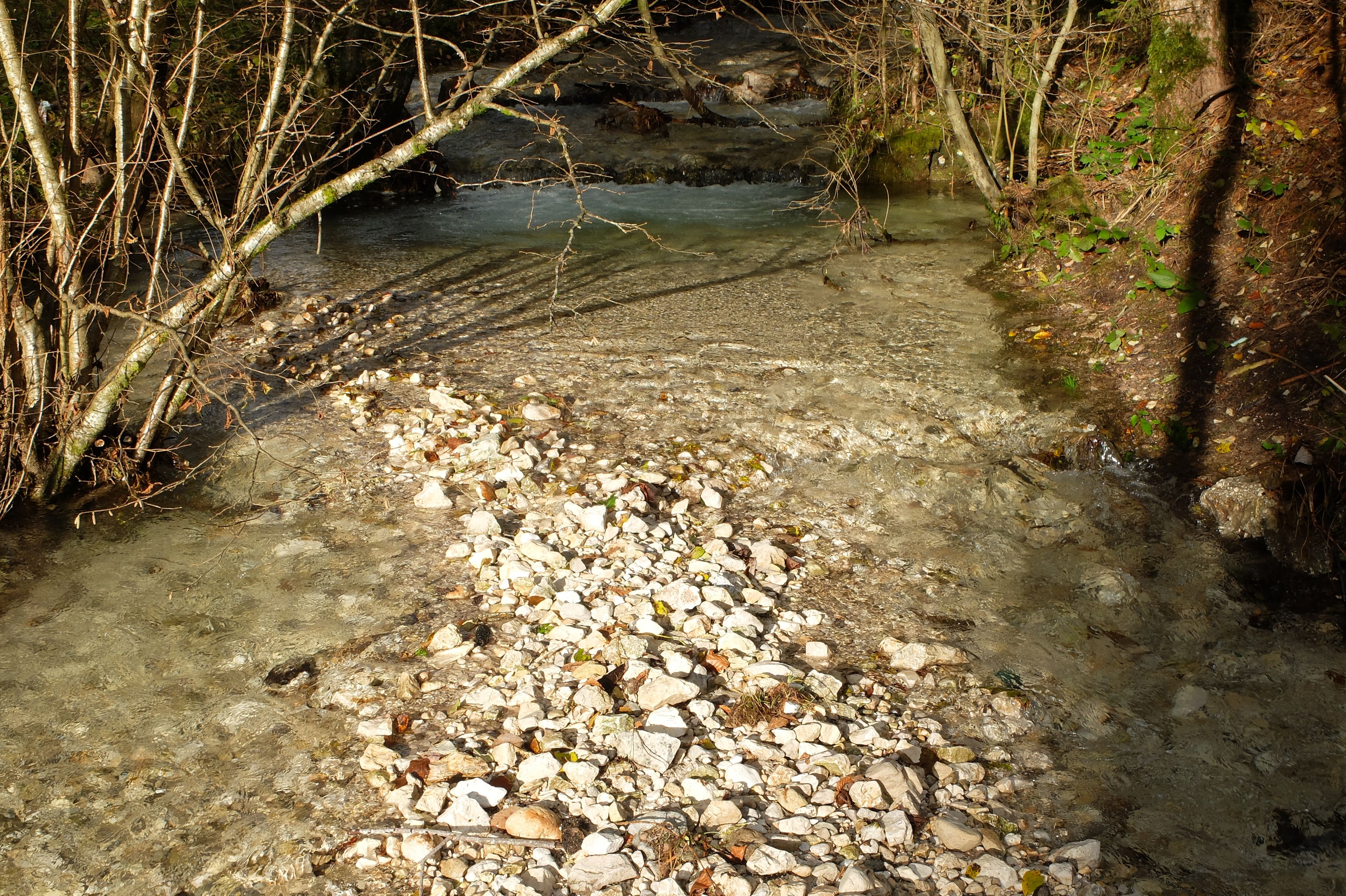 DSCF1365.JPG