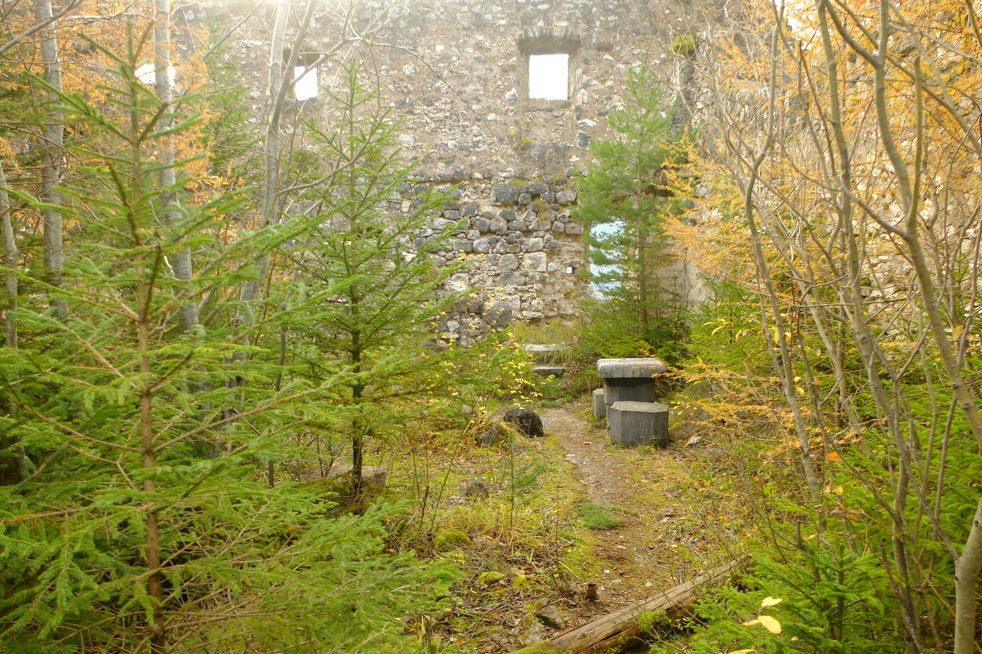 DSCF1393.JPG