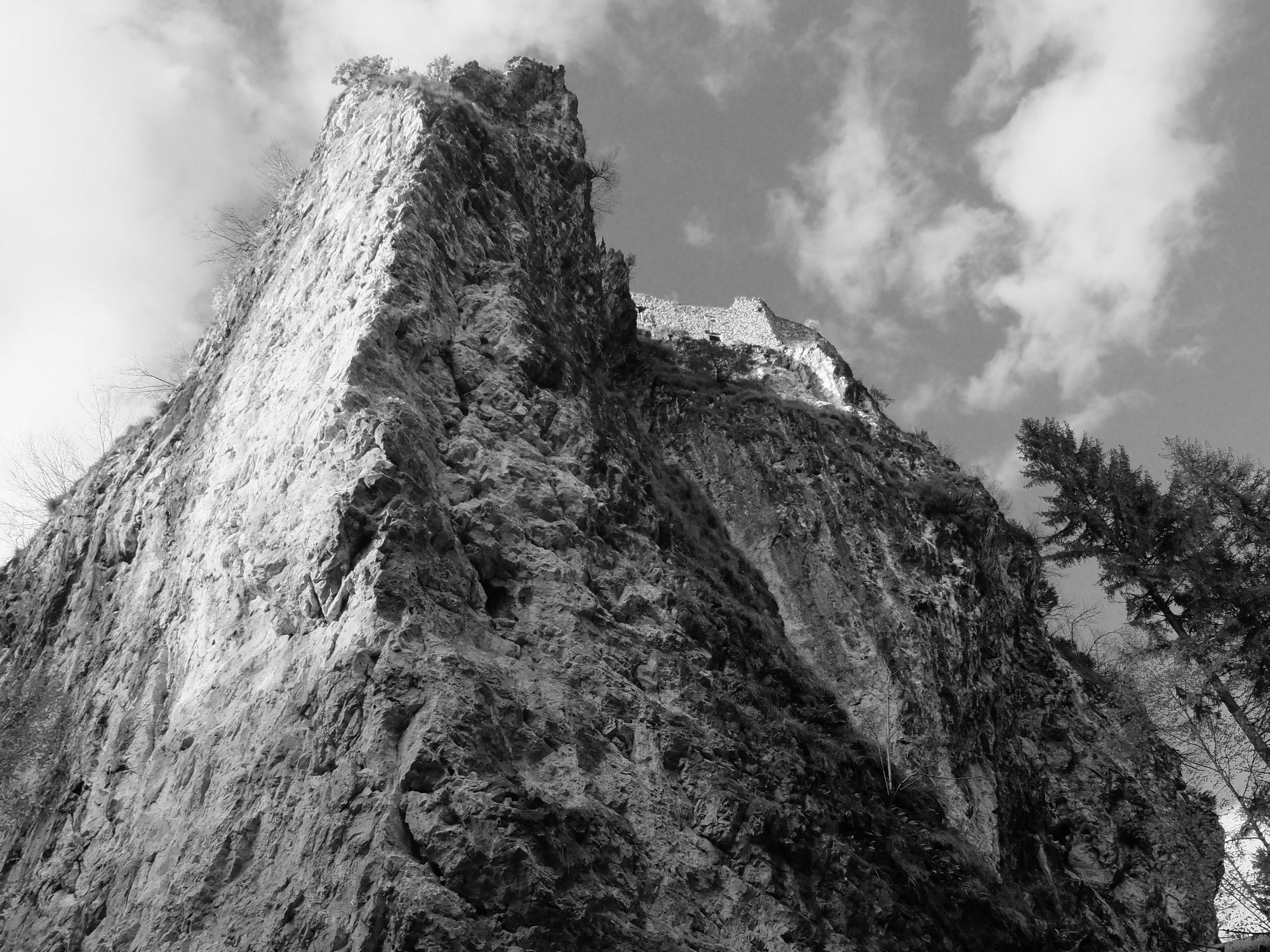 DSCF1375.JPG