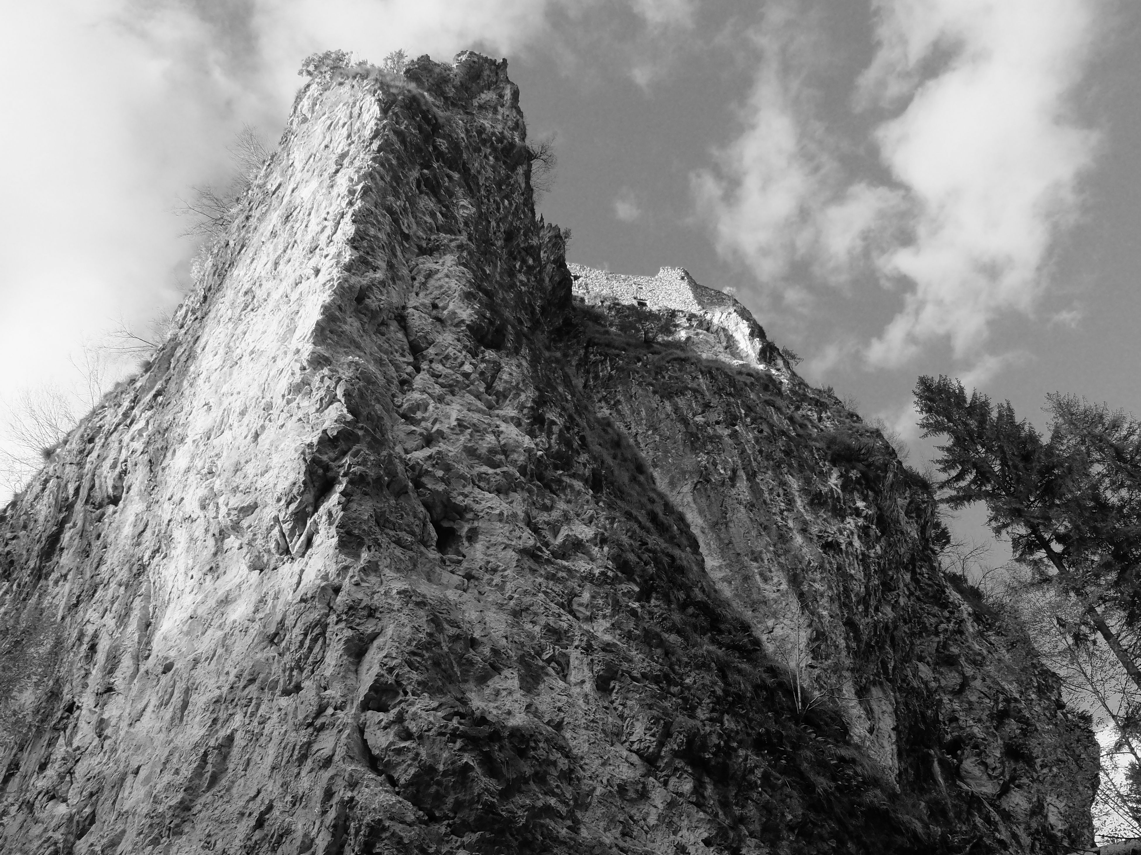 DSCF1375.JPG