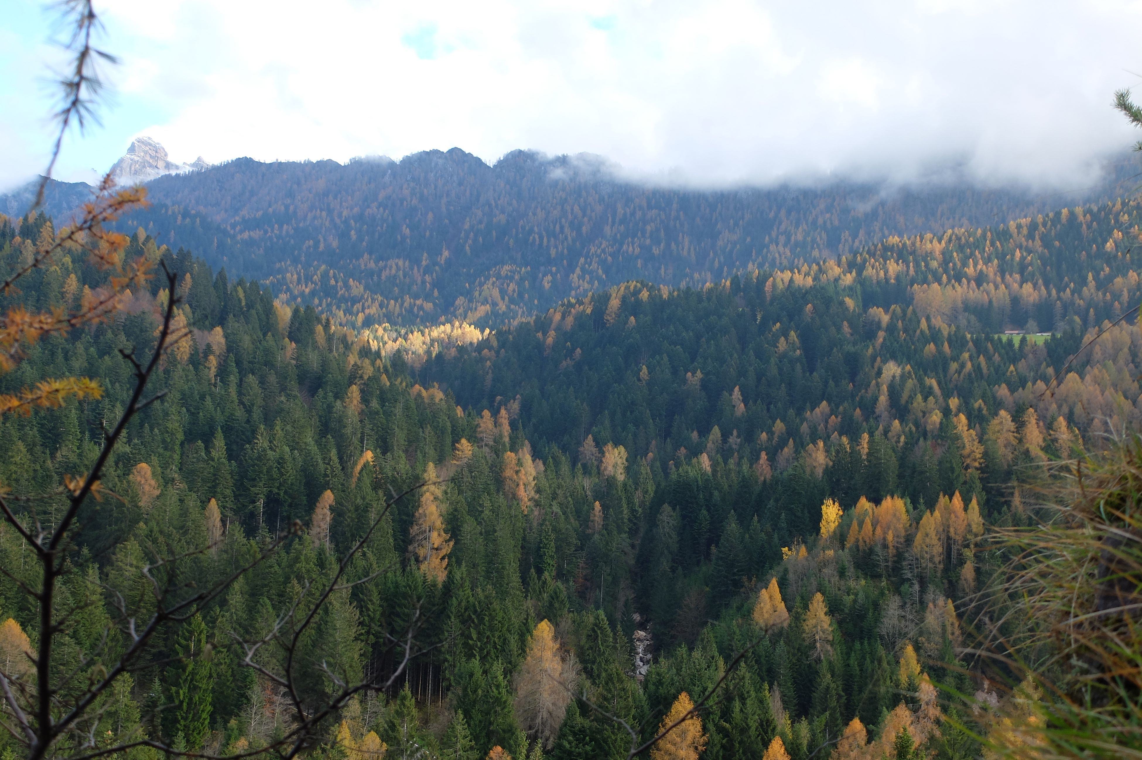DSCF1389.JPG
