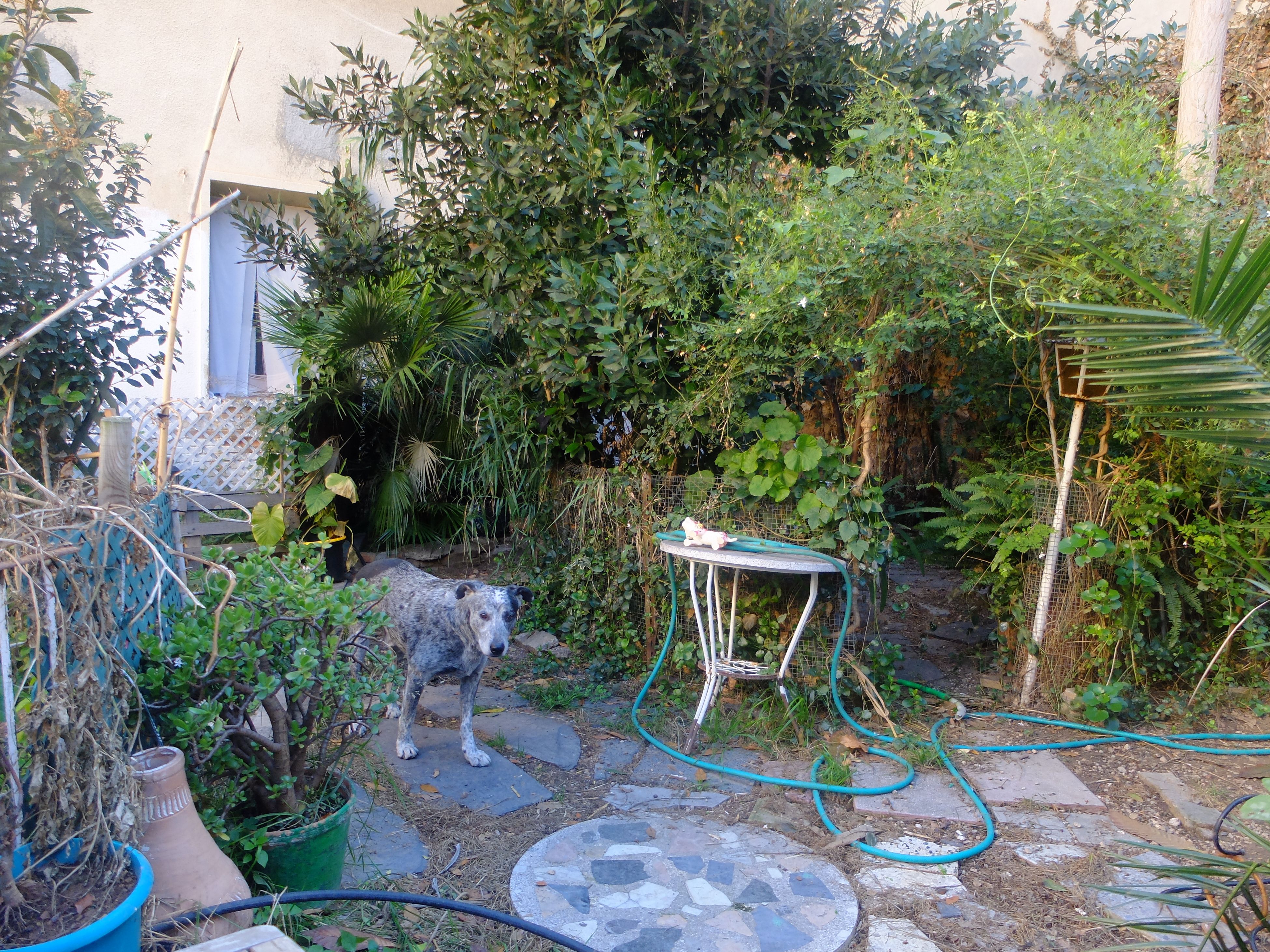 DSCF7108.JPG