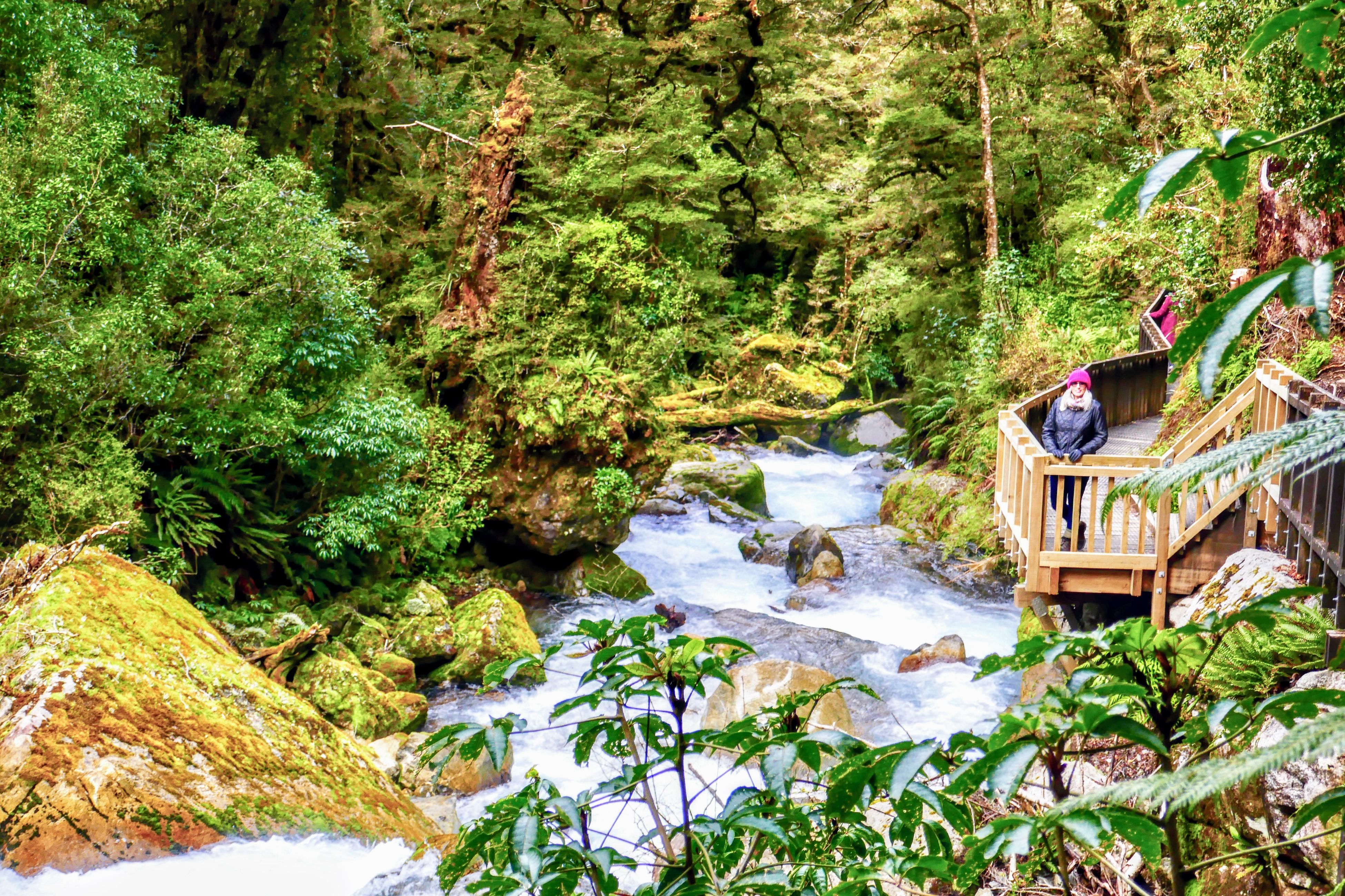 Aussie's in New Zealand: Swirling water, sandstone caves and glowing worms