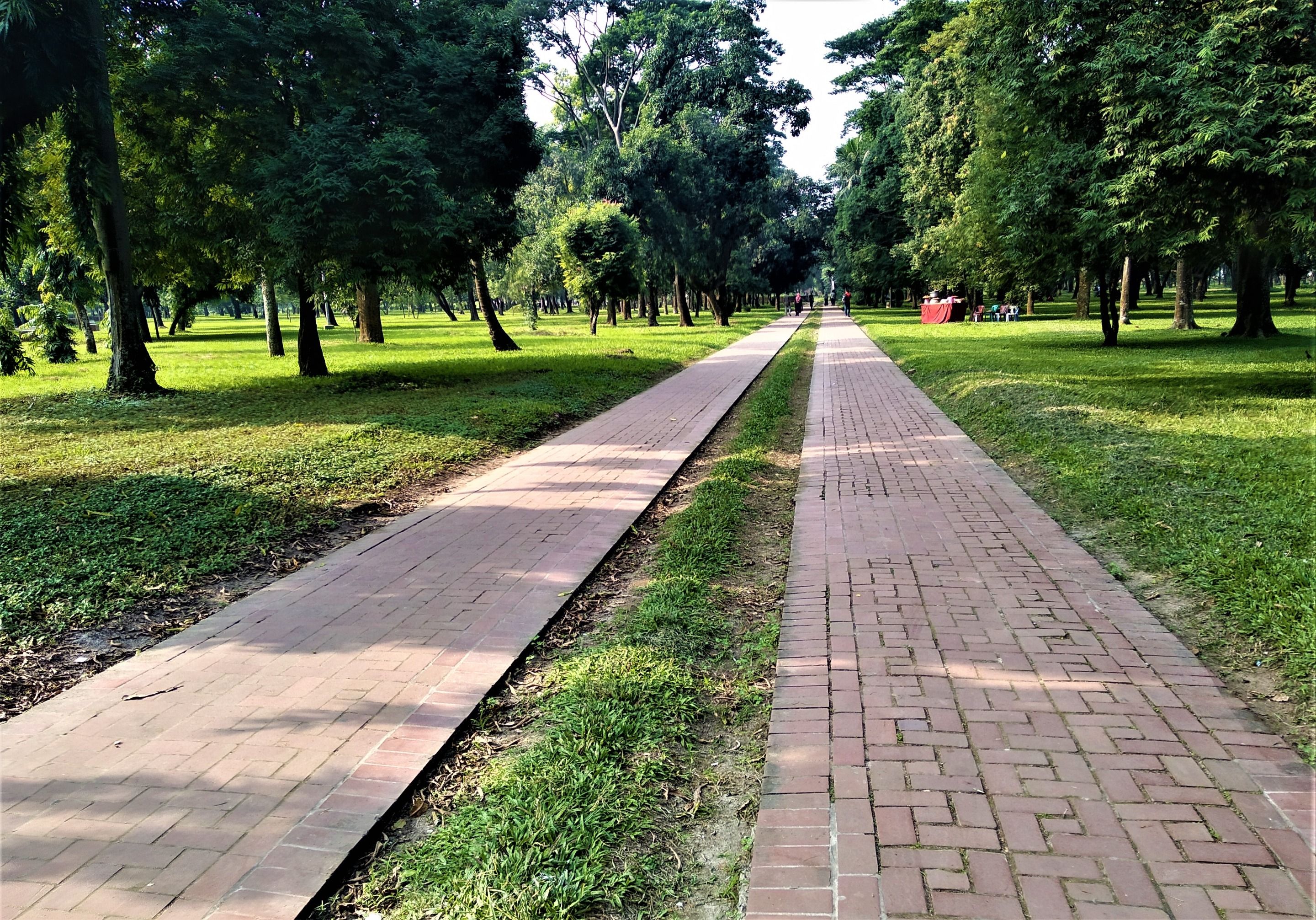 04.jpg