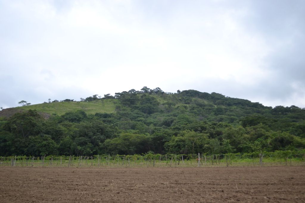 Wednesday Walk and Make Me Smile: Sunrise in Camatagua, a step away from the central Venezuelan plain.