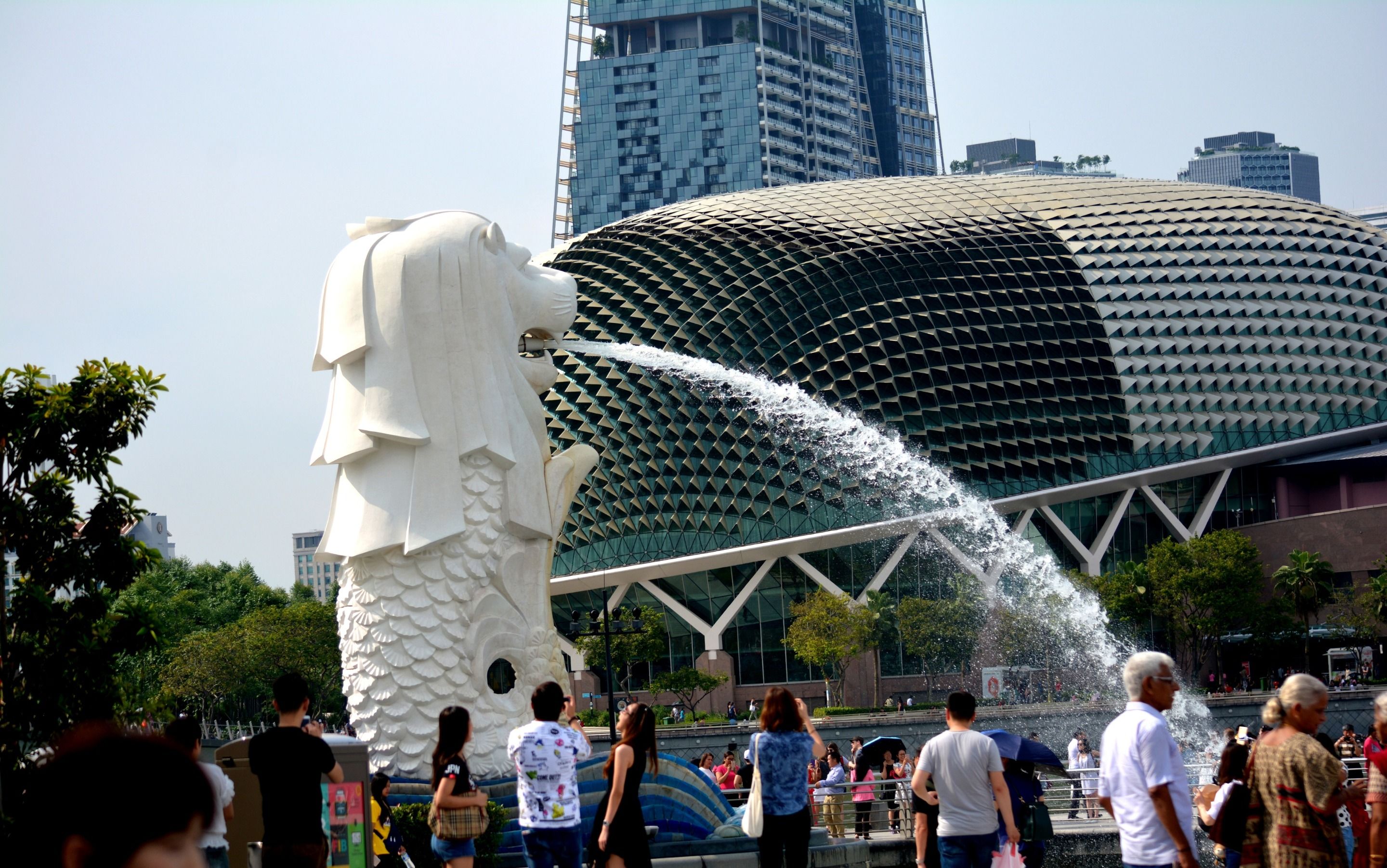 DSC_6715.JPG