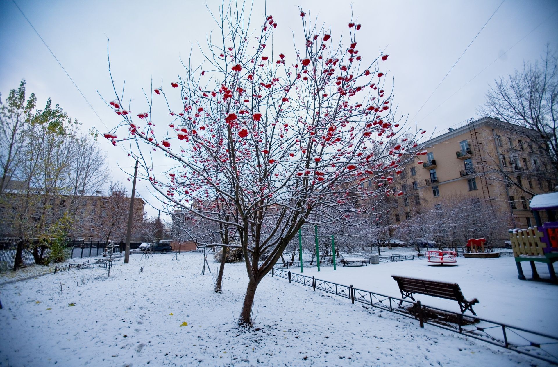 first snow of autumn at St. Petersburg