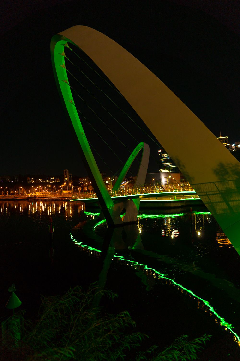 _DSC91402.jpg