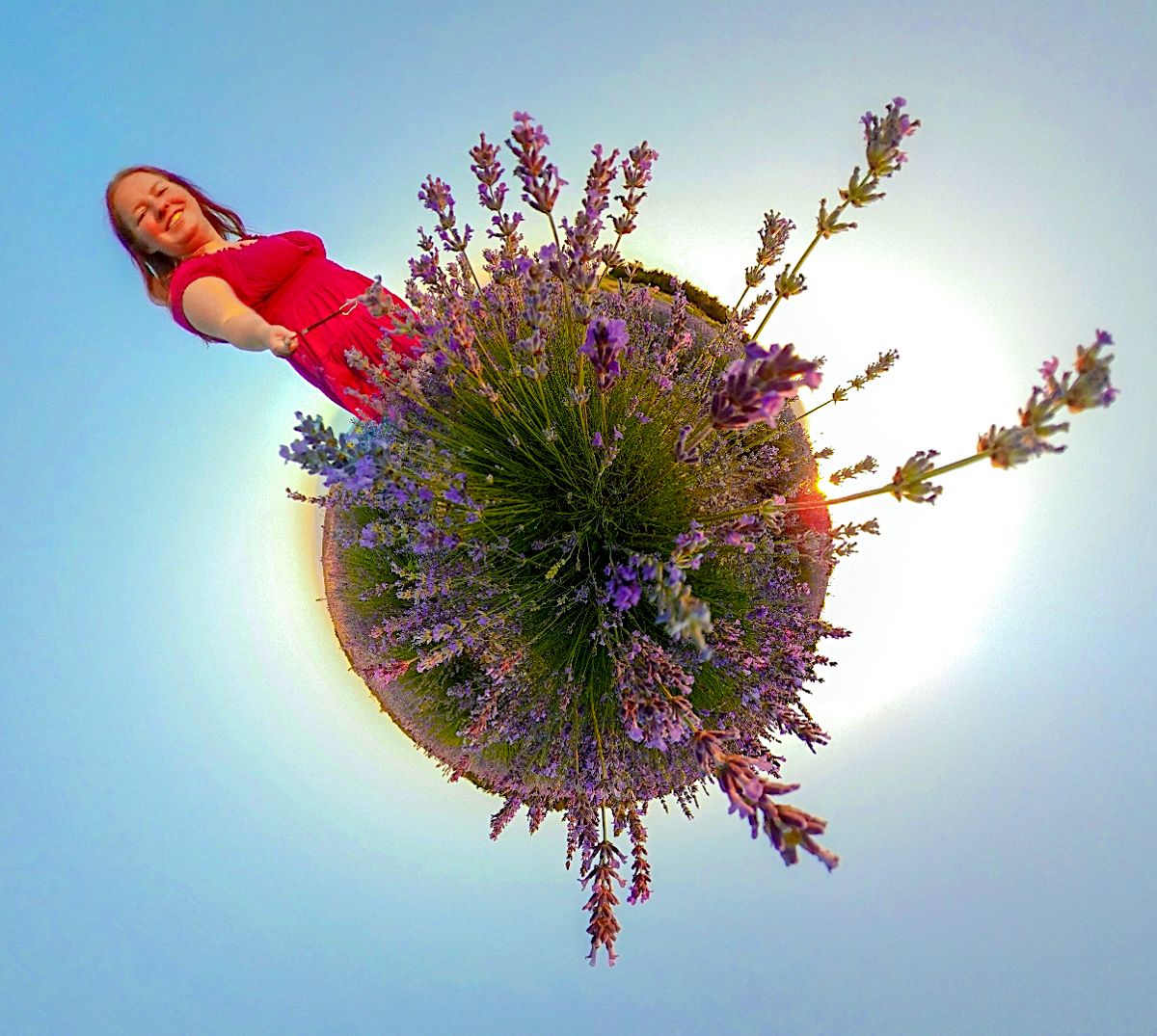 My lavender week in France part #4 : ...A slow day photographing my lavender world...