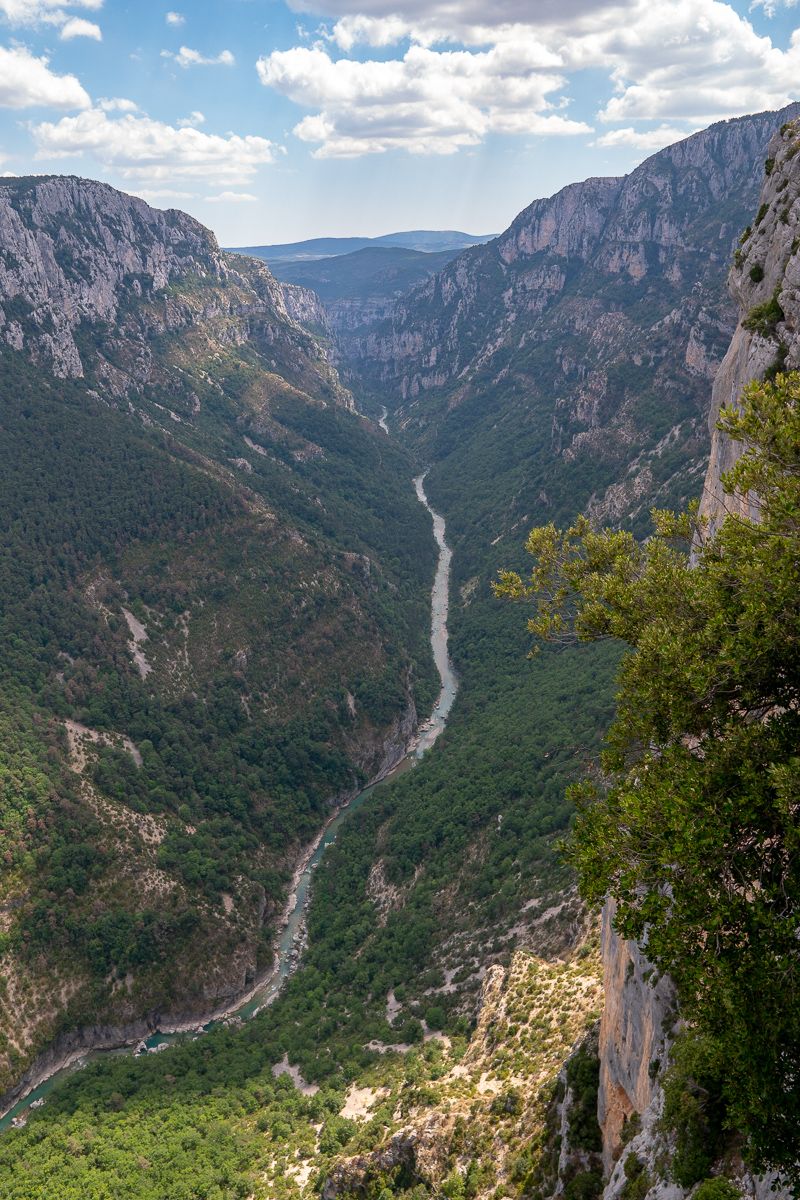 _DSC8806.jpg