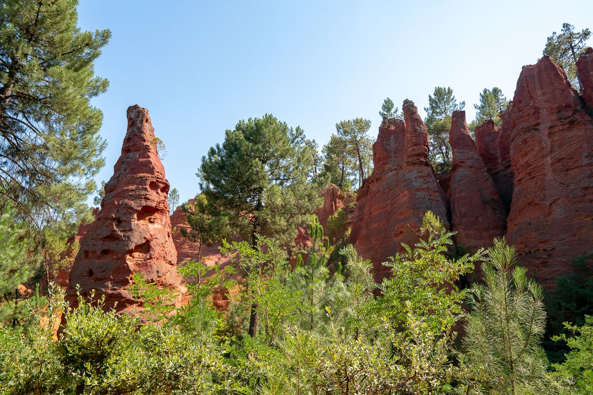 _DSC84043.jpg