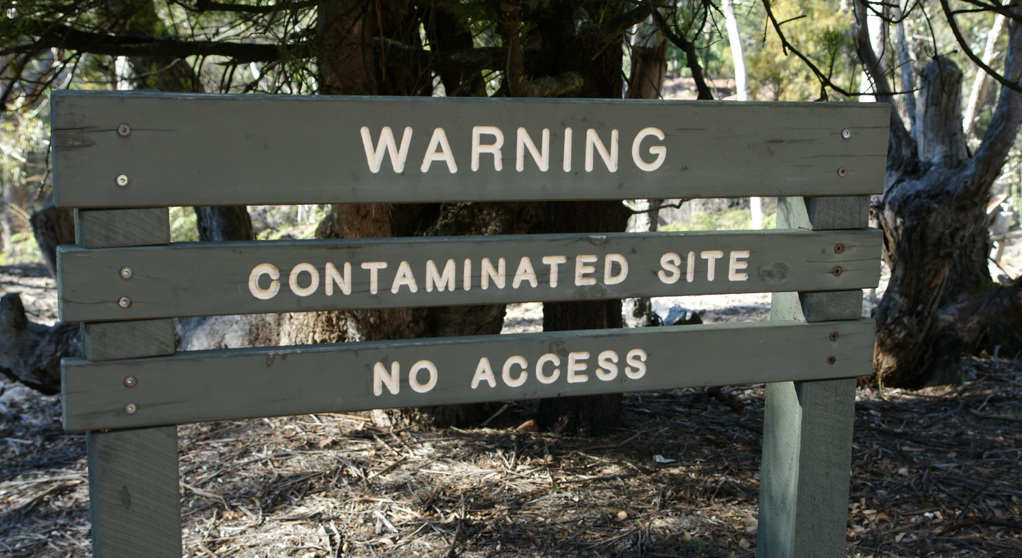 Cassilis Gold Mine, Alpine National Park: Wednesday Walk