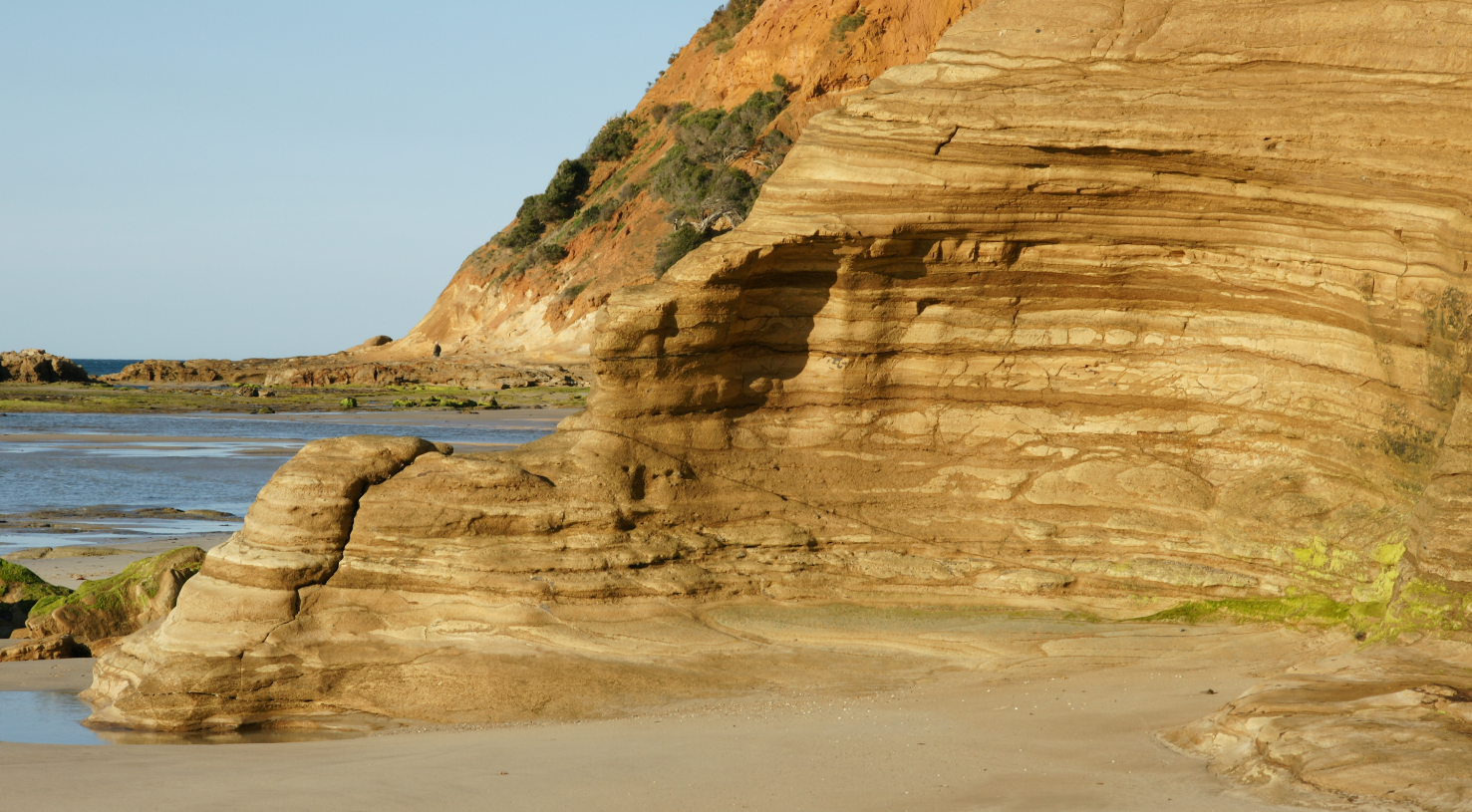 Urquarts Bluff: The Beauty in Tiny Things & Low Tide Walk With Me