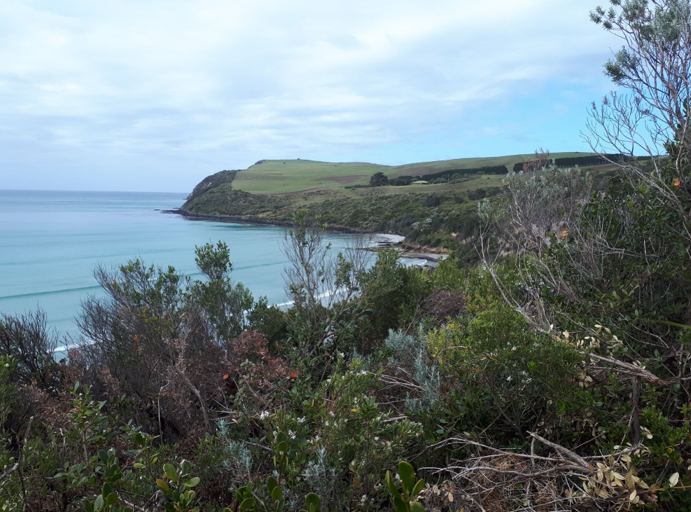 Seals & Craters: Cape Bridgewater, Victoria