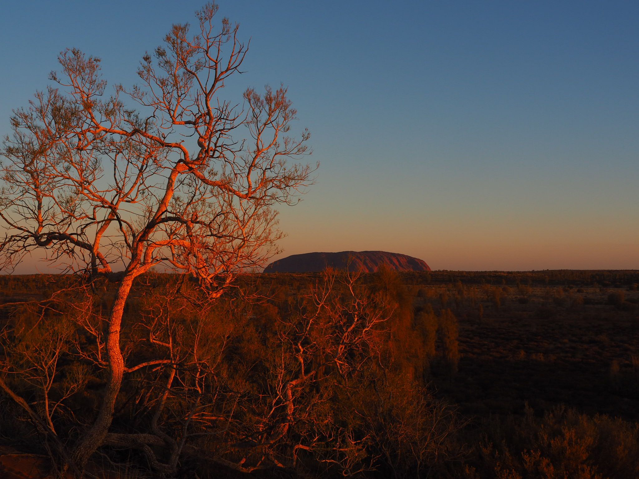 Visiting Ayers Rock (Uluru)