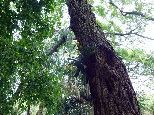 DSCN0117