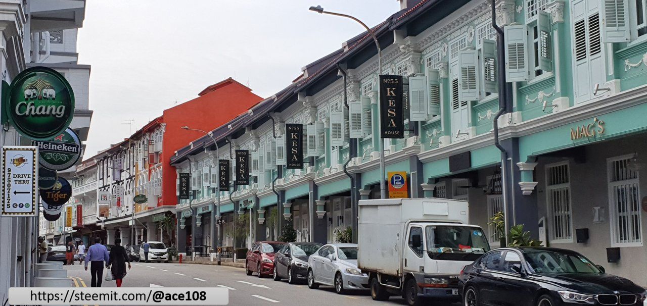 Actifit Report l: 20191205 📷Monthly Author Challenge #12.05 #ThursdayGreen Some steemians will recognize the green | 有些Steemit 博主该认得一点绿 😎 (by @ace108)