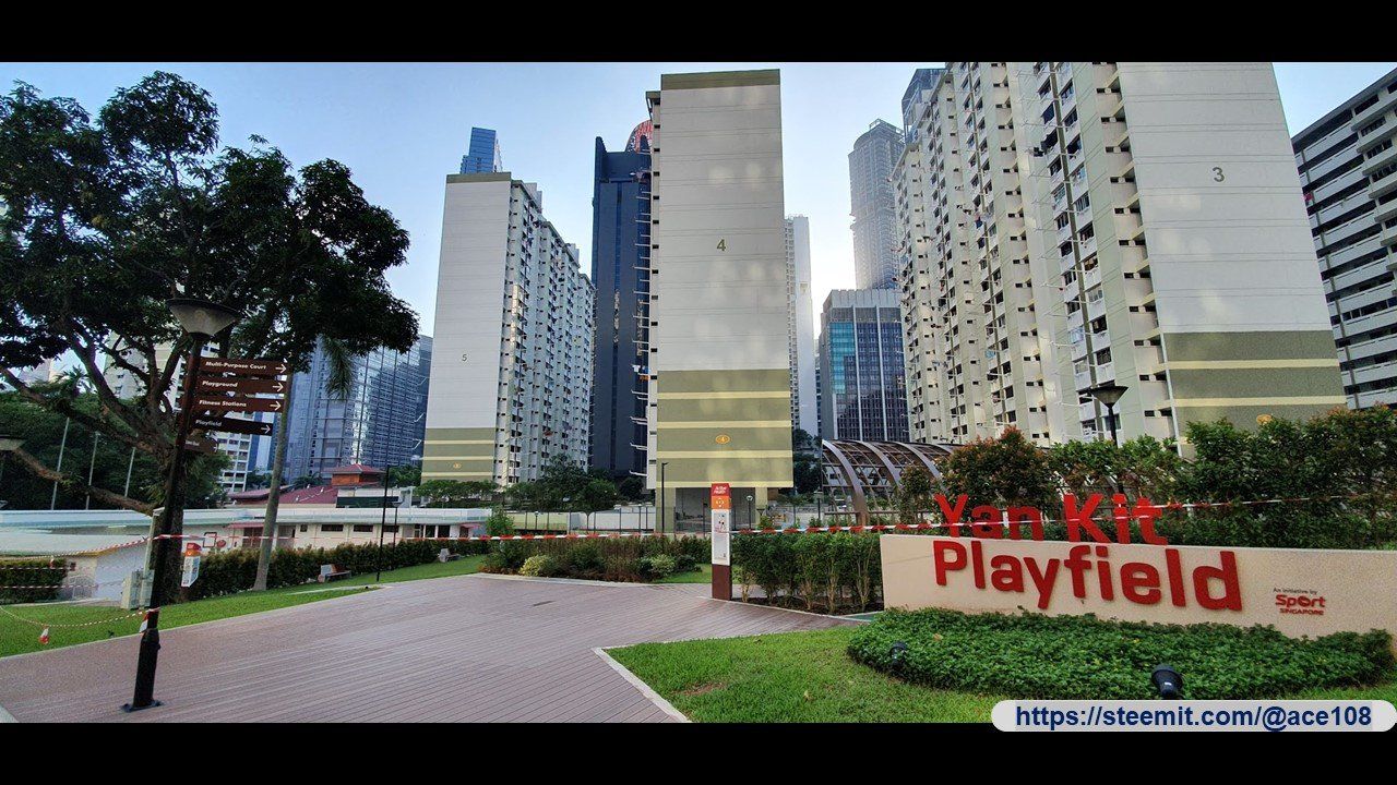 Actifit Report: 20191125 📸From pool to playfield - almost | 从泳池到玩乐场😎 (by @ace108)