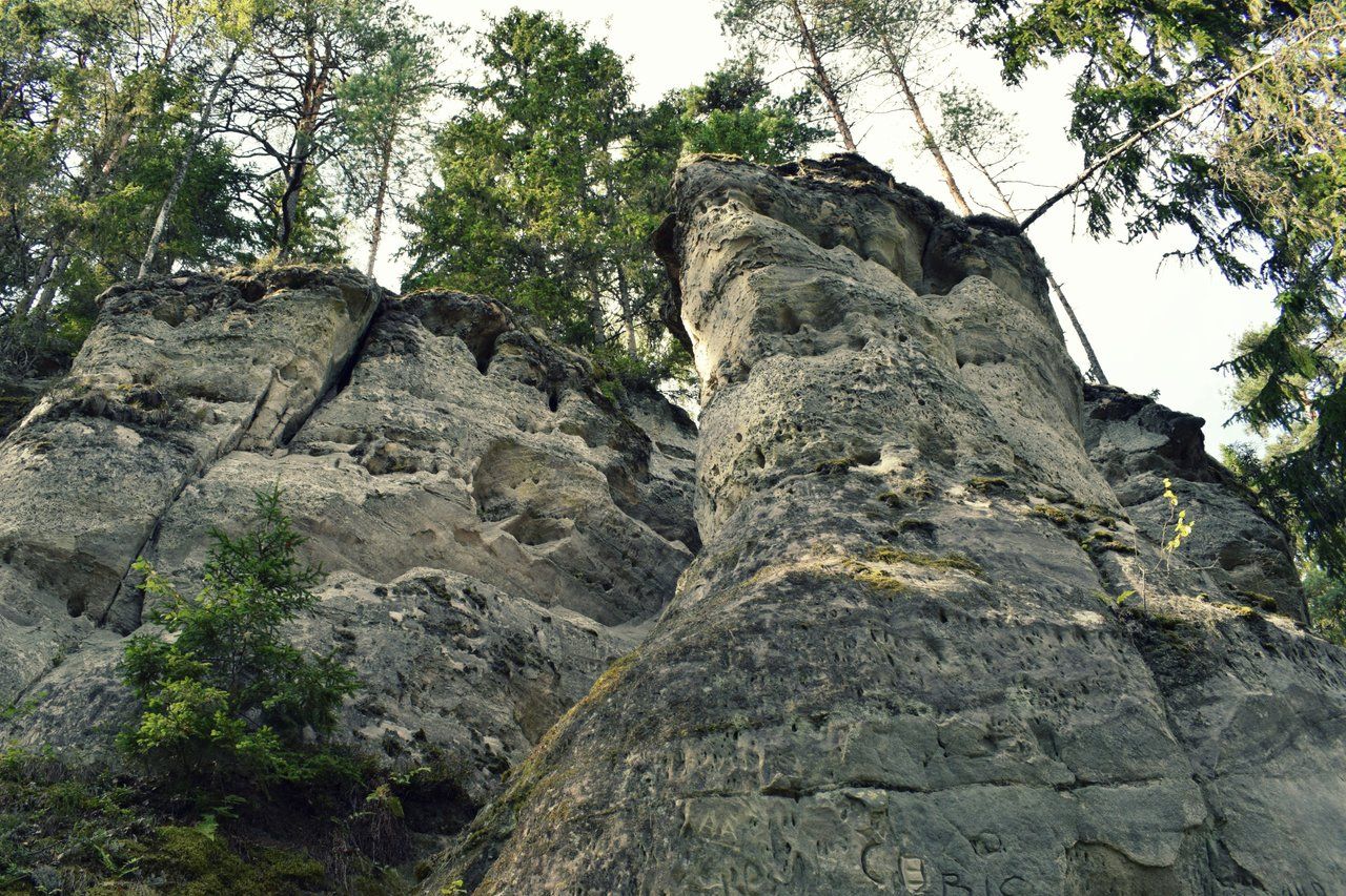 Sietiņiezis Rock