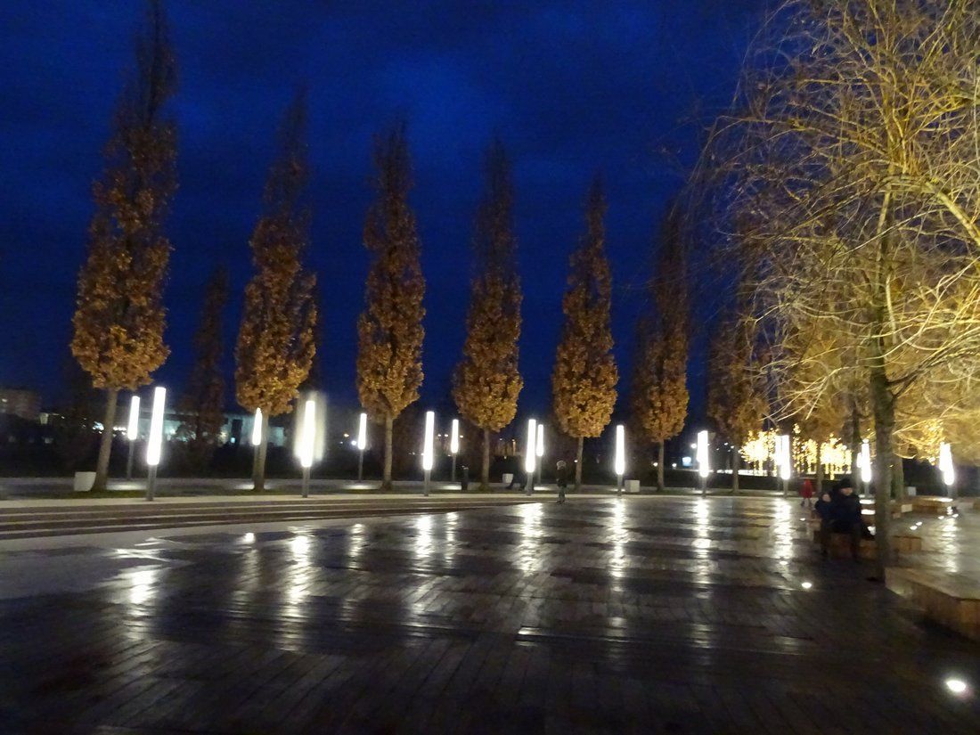 Shadow Photo Contest (round 52): Wonder park in thousands of glowing lights