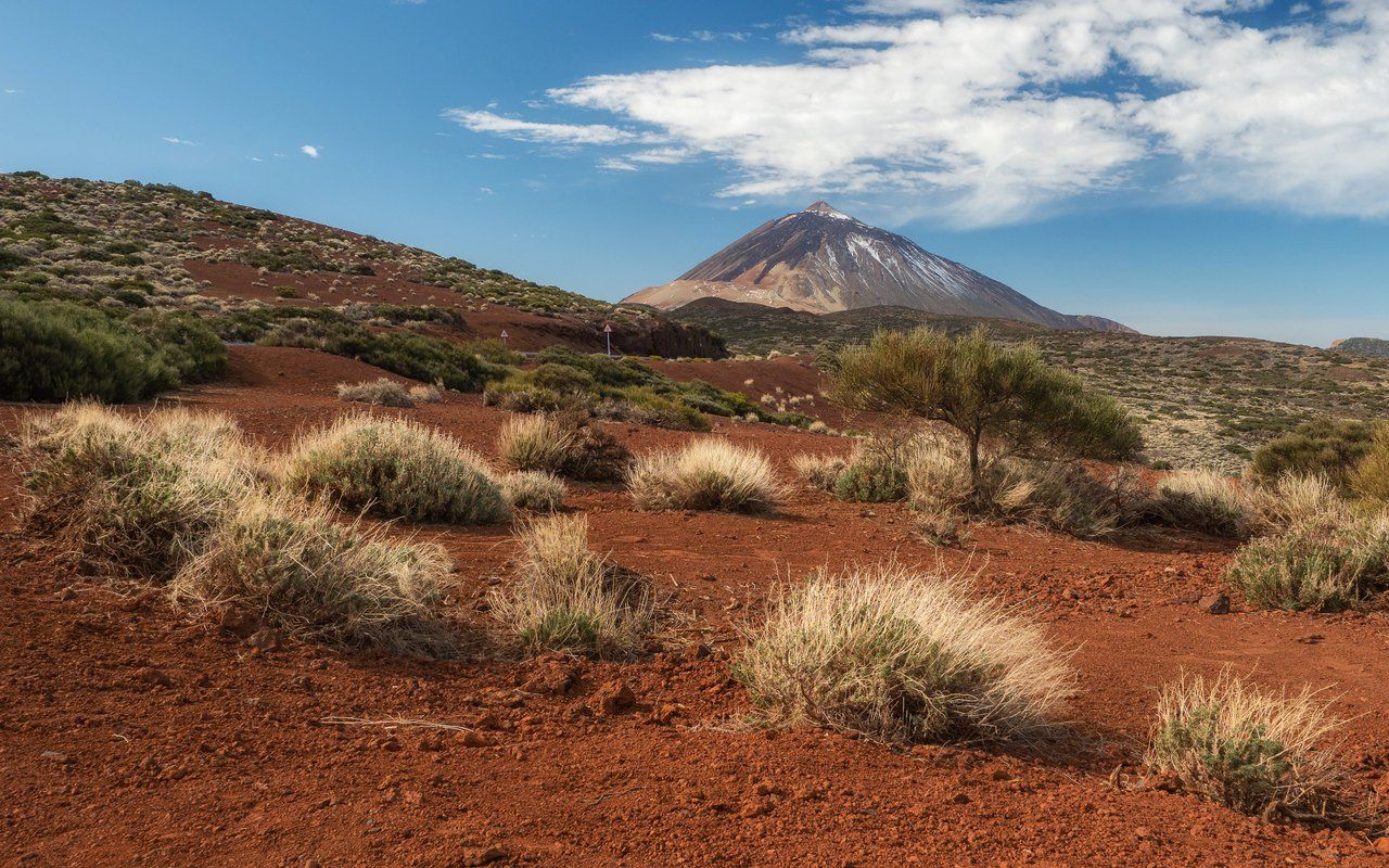 📷 Spain. Canary Islands. Tenerife: Part one