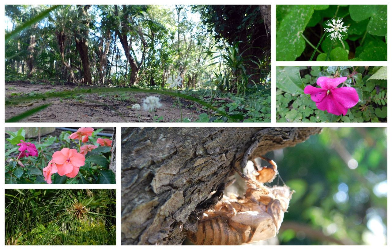 We've returned to the reserve for another… [Esp/Eng].