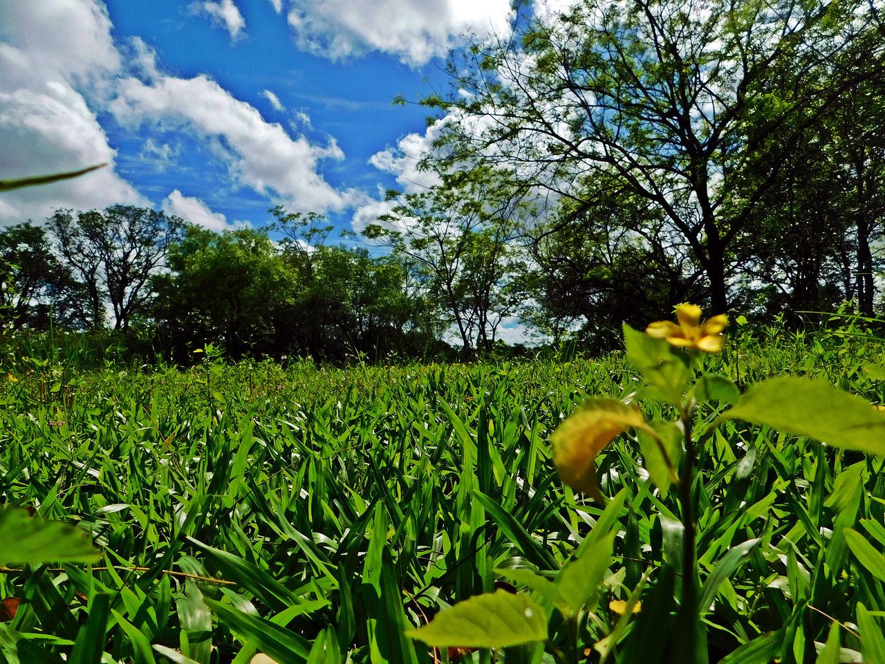 Nothing better for emotional restoration than 50% off for the benefit of "Amazing-Nature-AN" Community.