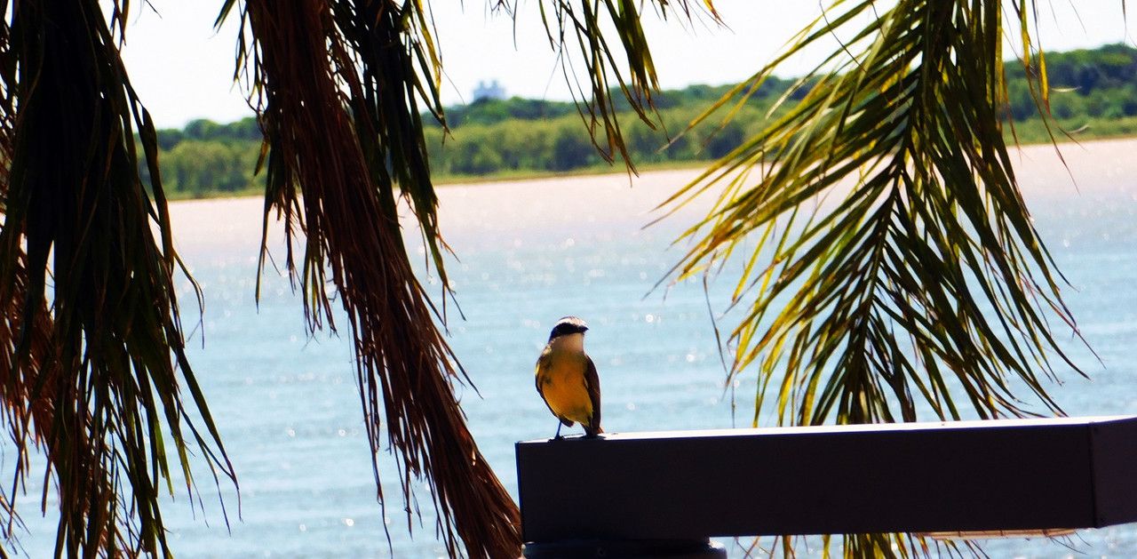 Beautiful beach sightings [Esp/Eng].