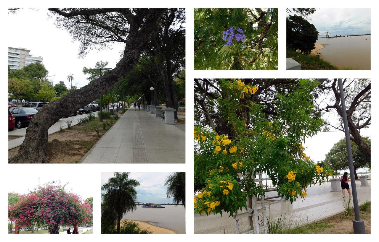 Coastal landscape, flowers, and shadows—what more could one ask for? [Esp/Eng]