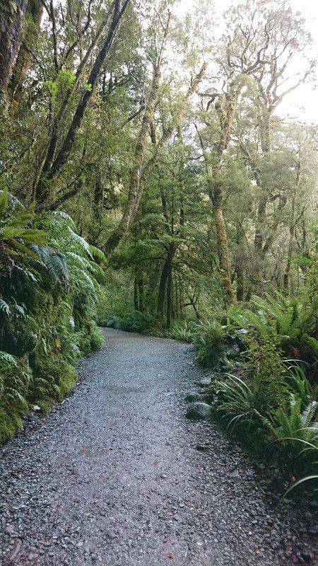 The path to the falls is pretty well laid 