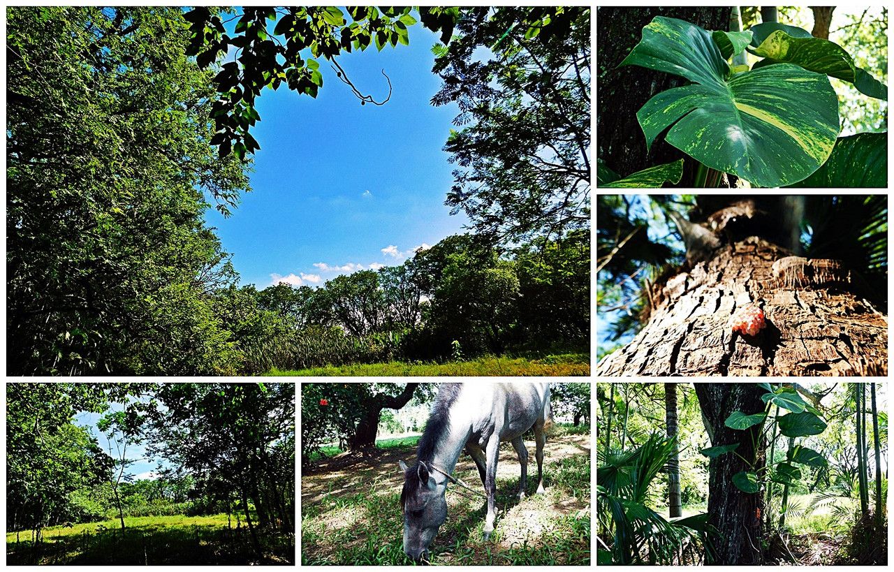 Once again, I was tempted to hunt in the reserve [Esp/Eng].
