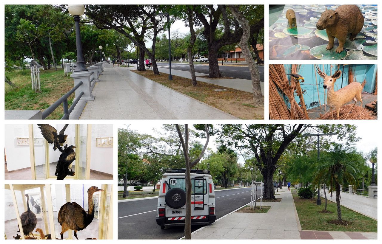 When the kids are on vacation, walks can be a… (Es-Eng)