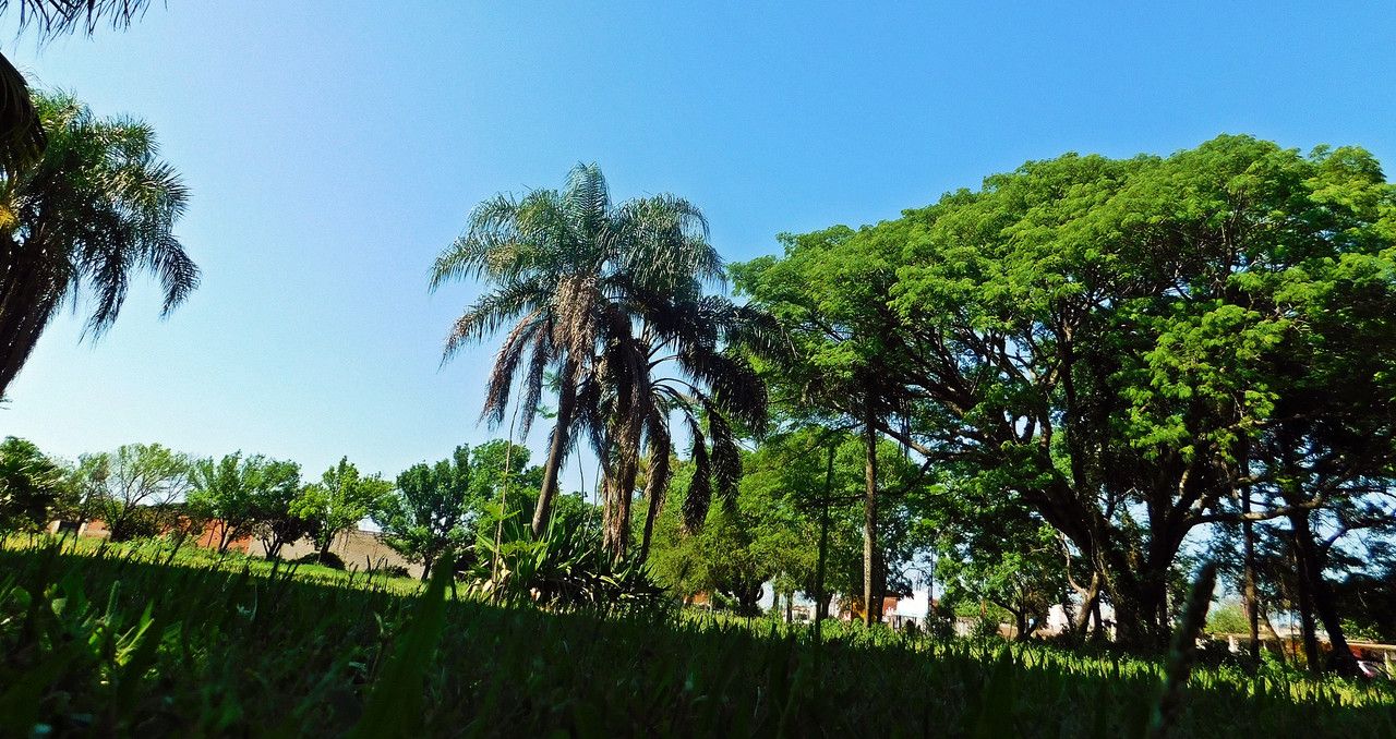 A place I'm going to miss if I have to (Es-Eng)