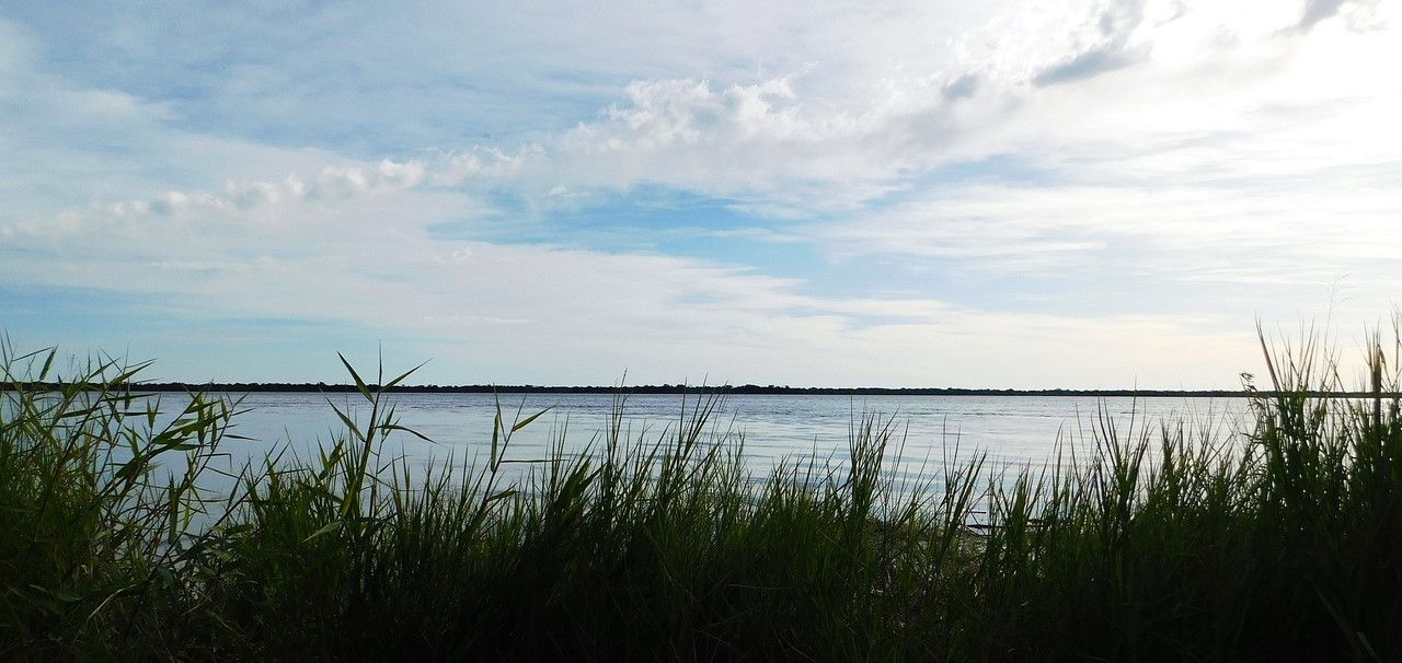 Natural resources of the coast: 50% benefiting "Amazing-Nature-AN" Community