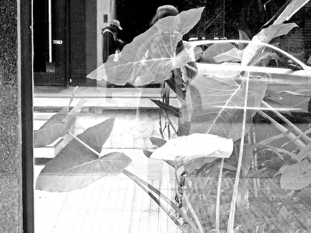 Such interesting reflections! (My entry for the "monomad" challenge) [Esp/Eng].