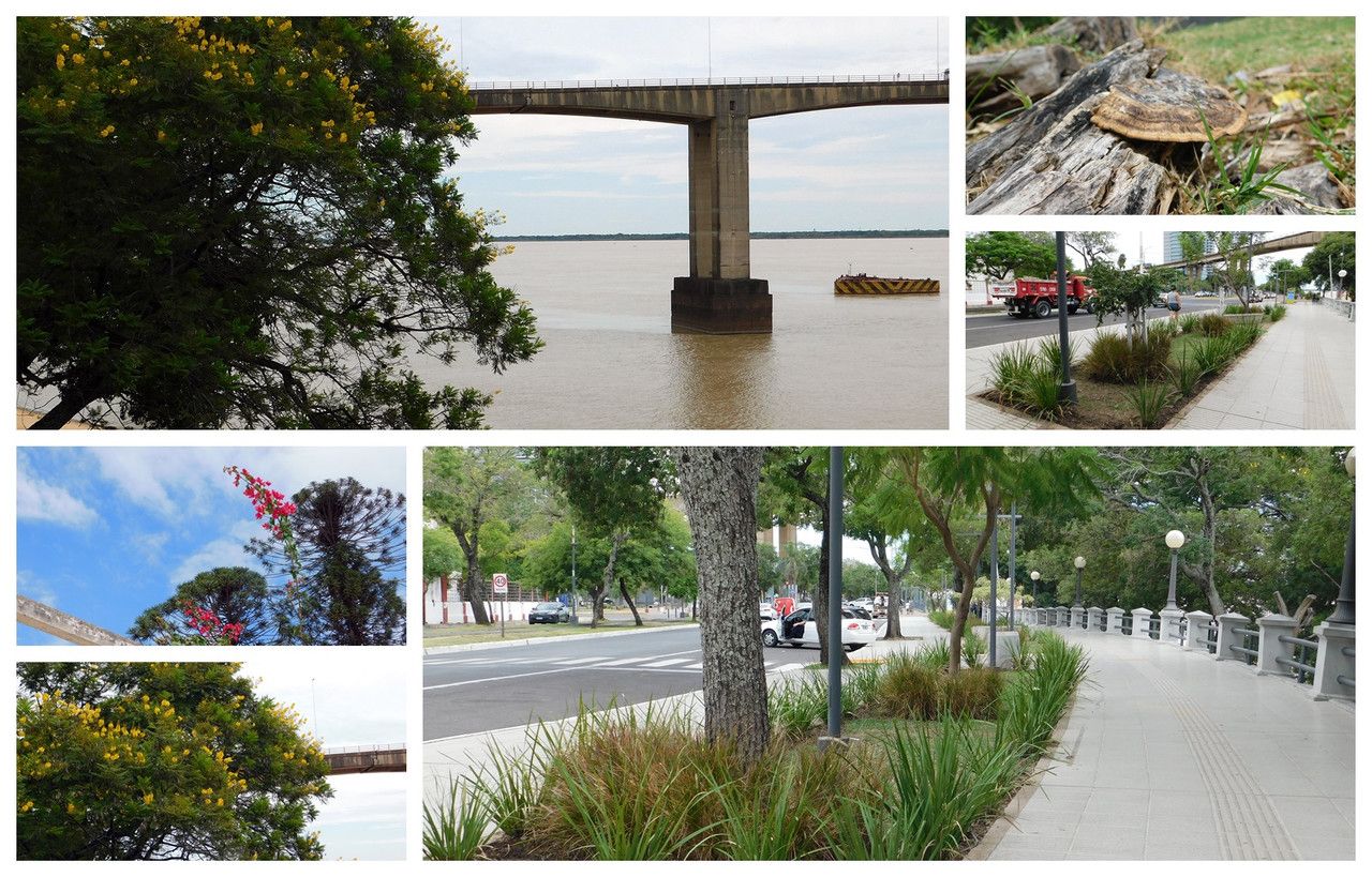 I appreciate nature, whether it's in a reserve or in the city [Esp/Eng]. 
