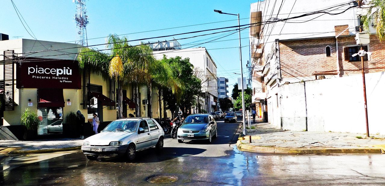 Natural beauty is never lacking in our streets. [Esp/Eng].