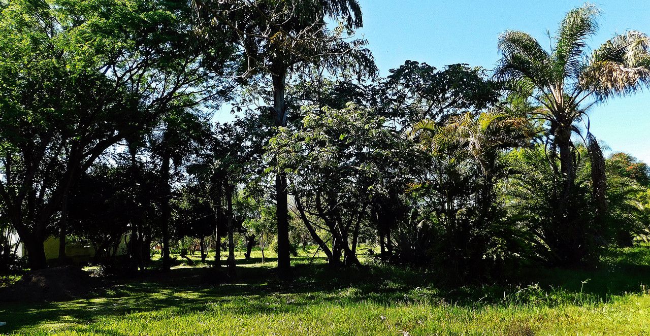 Making wonderful discoveries in the reserve. 50% benefiting "Amazing-Nature-AN" Community.