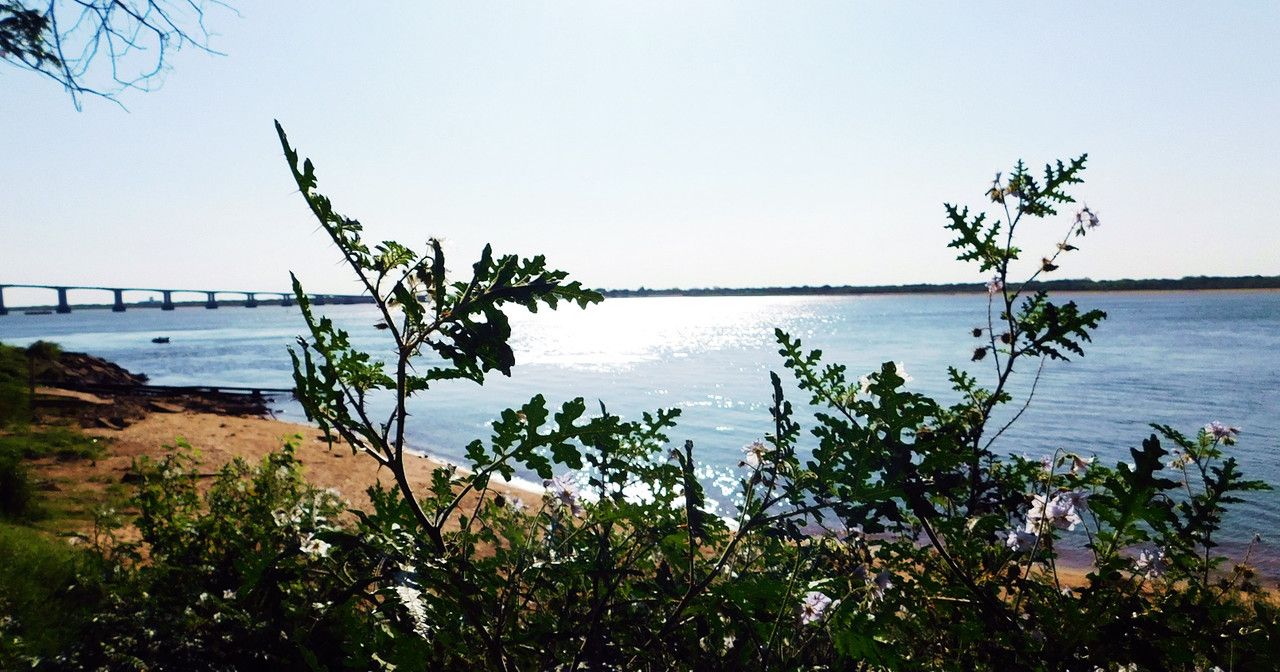 We hunted beautiful shadows in Punta Tacuara [Esp/Eng].