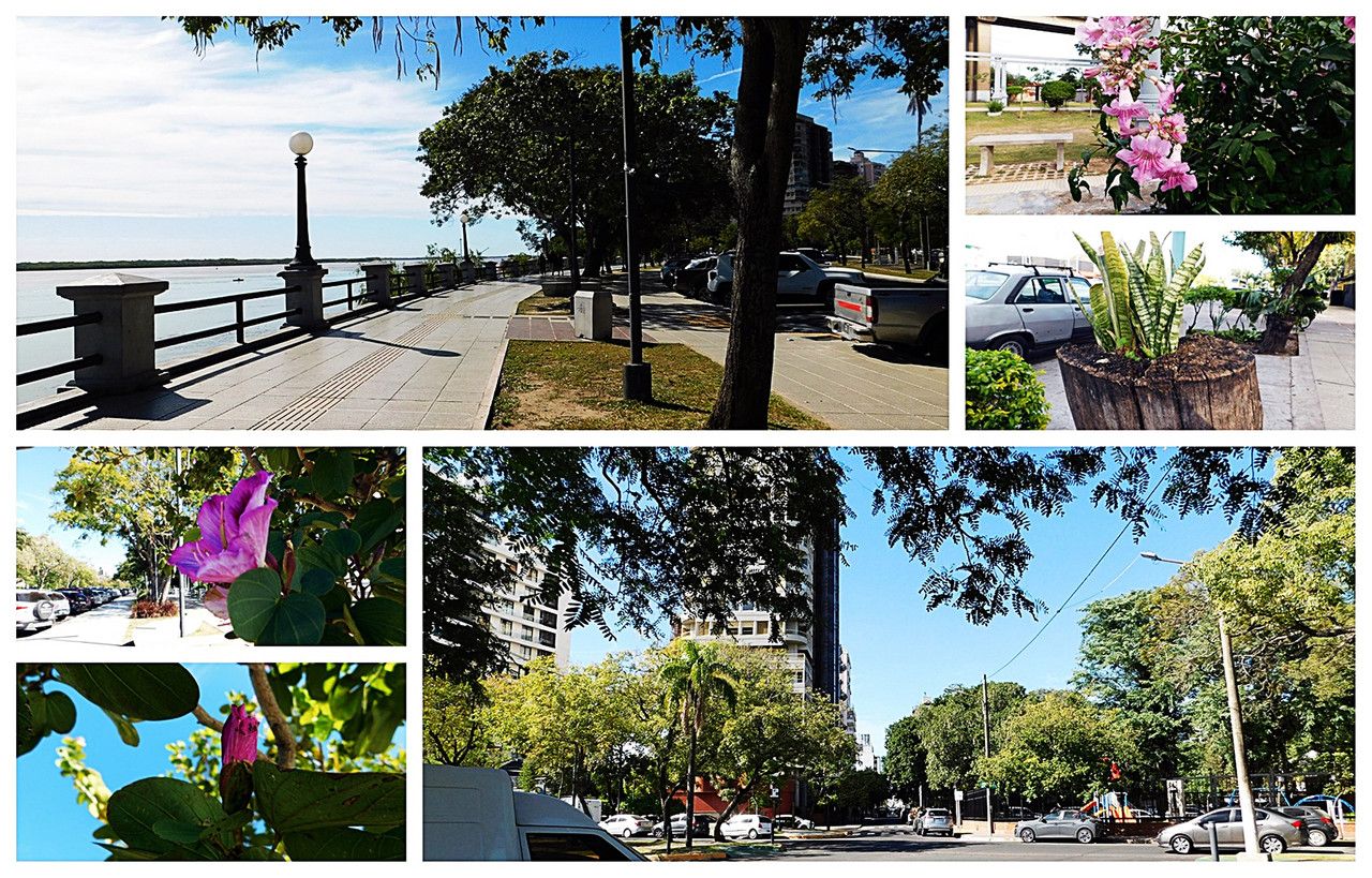A Beautifully Naturally Green City [Esp/Eng].