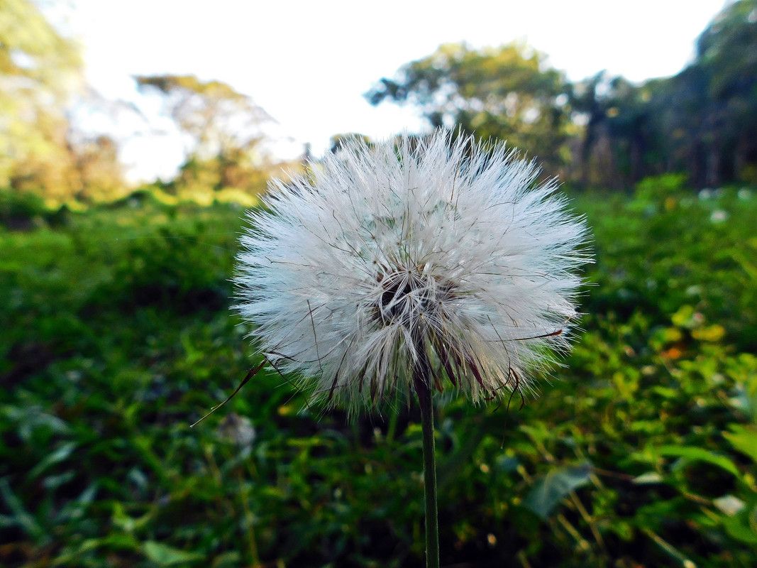 When you find satisfaction in nature, 50% of it is for the benefit of "Amazing-Nature-AN."