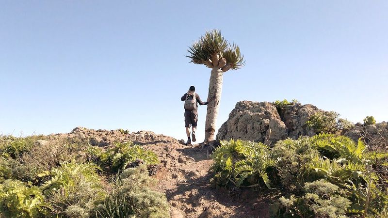 A Hike from Chamorga to the Casa de Tafada with a stop at a Lighthouse -
