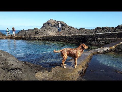 Travel Advice - Weekly Round-Up #157