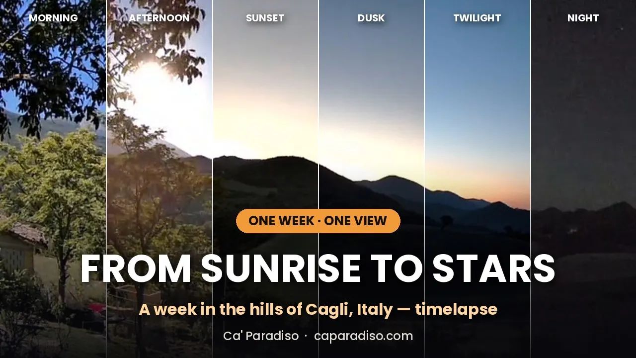 From Sunrise to Stars