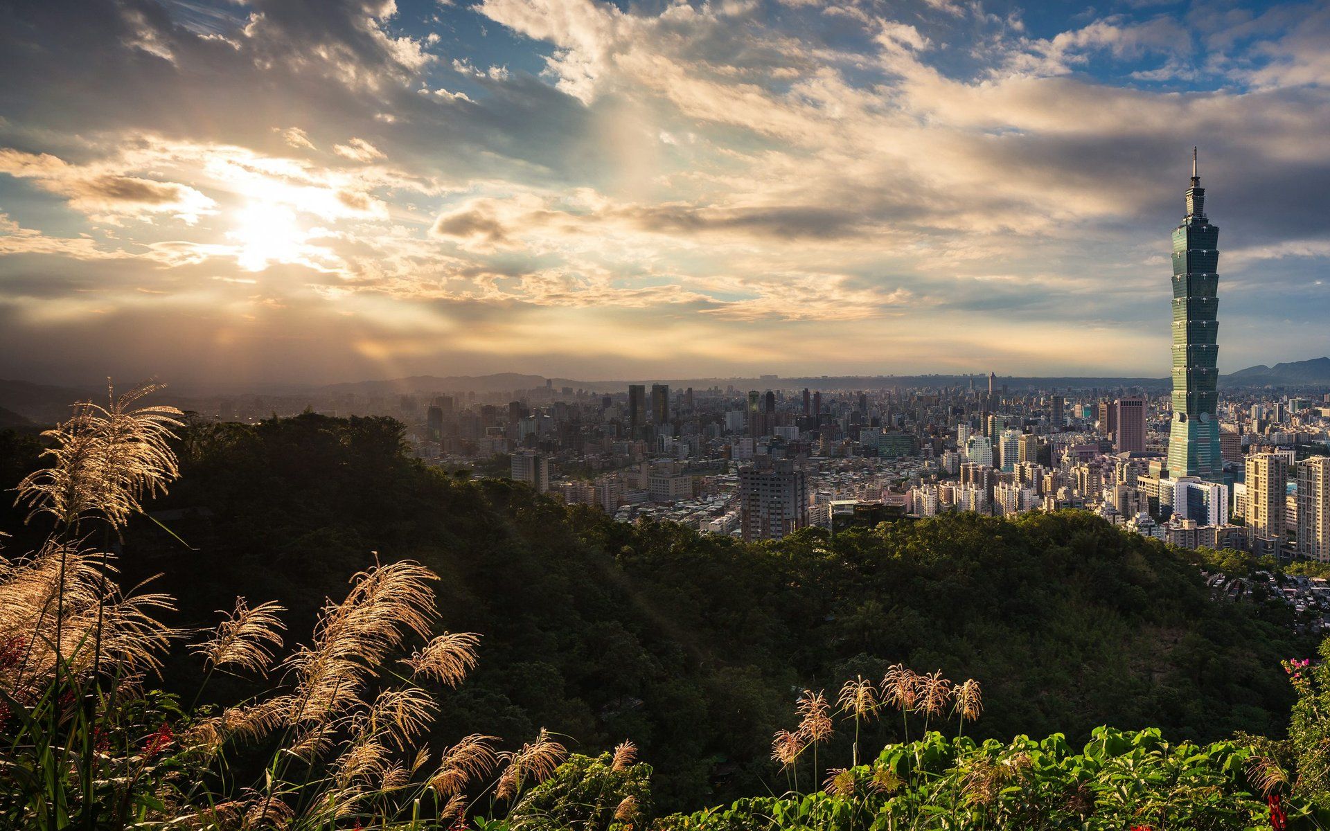 Alishan National Scenic Area