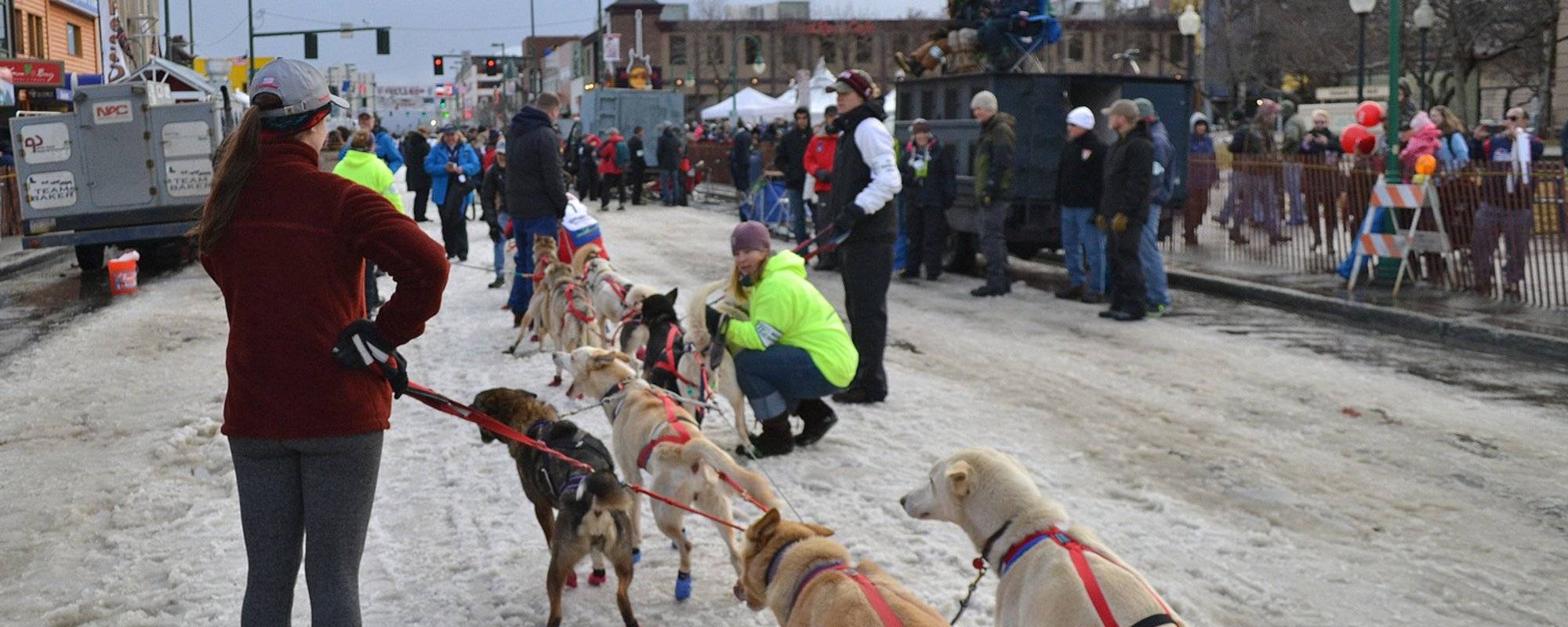 IDITAROD Trail Sled Dog Race // IDITAROD największy wyścig psich zaprzęgów
