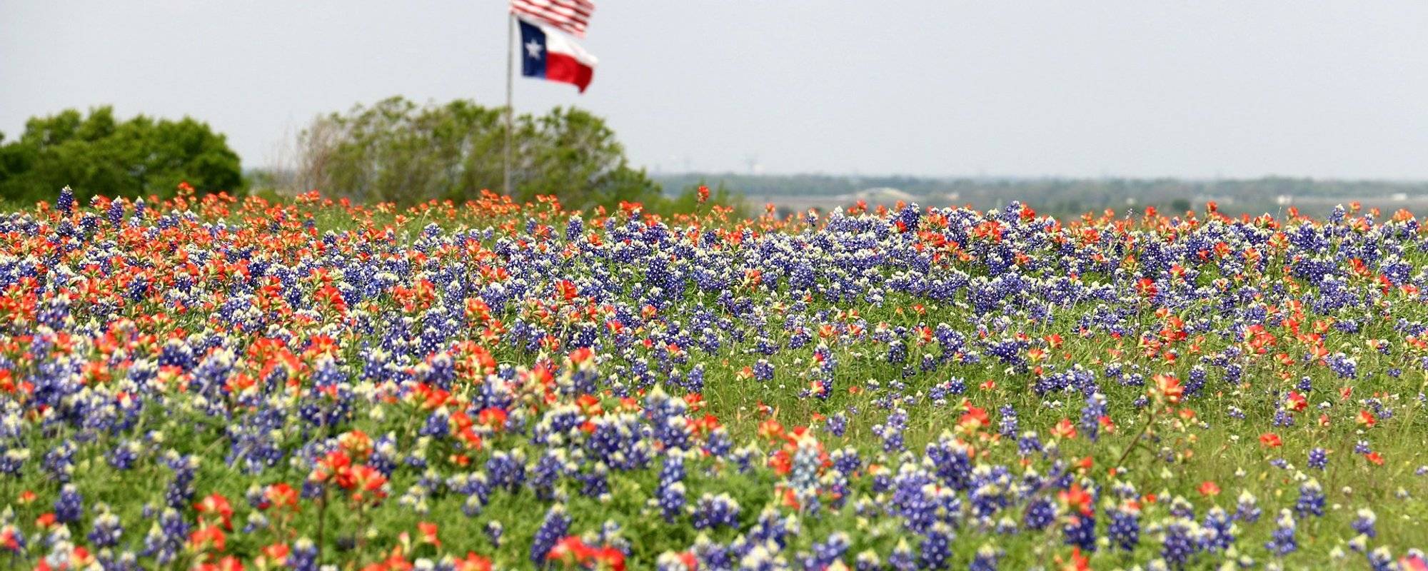Fun Things To Do In Texas This Spring